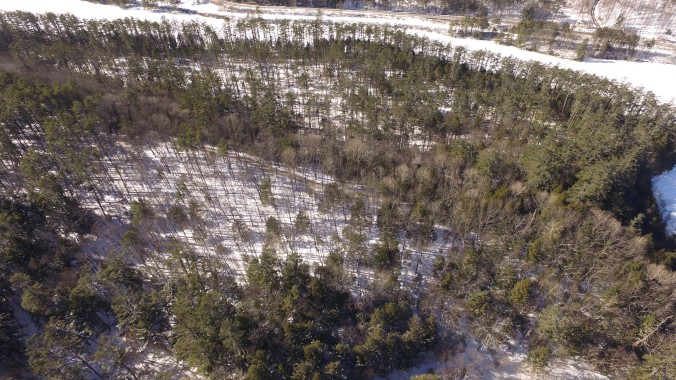Aerial view of Pine Park